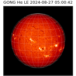 gong - 2024-08-27T05:00:42