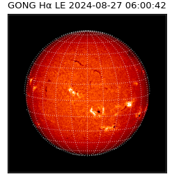 gong - 2024-08-27T06:00:42