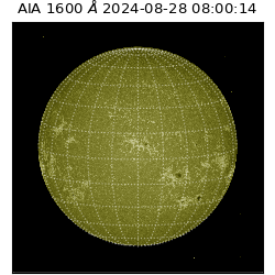 saia - 2024-08-28T08:00:14.126000