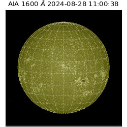 saia - 2024-08-28T11:00:38.126000