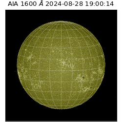 saia - 2024-08-28T19:00:14.126000