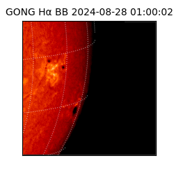 gong - 2024-08-28T01:00:02