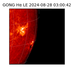 gong - 2024-08-28T03:00:42