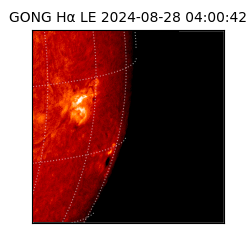 gong - 2024-08-28T04:00:42