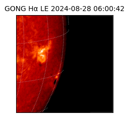 gong - 2024-08-28T06:00:42