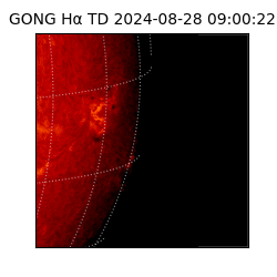 gong - 2024-08-28T09:00:22