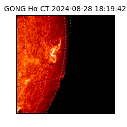 gong - 2024-08-28T18:19:42