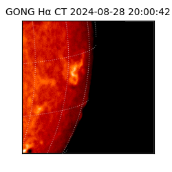 gong - 2024-08-28T20:00:42