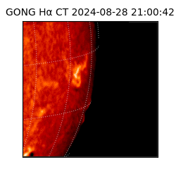 gong - 2024-08-28T21:00:42