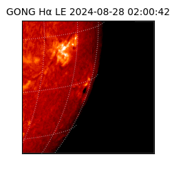 gong - 2024-08-28T02:00:42