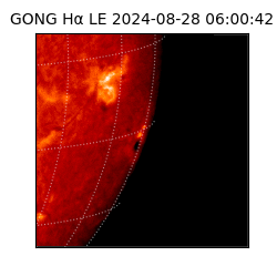 gong - 2024-08-28T06:00:42