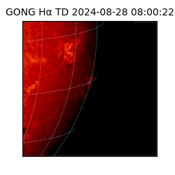 gong - 2024-08-28T08:00:22