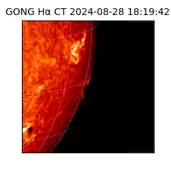 gong - 2024-08-28T18:19:42