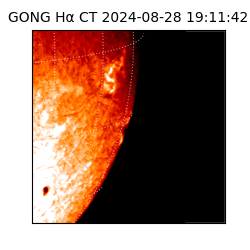 gong - 2024-08-28T19:11:42