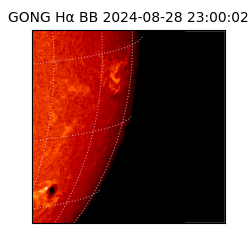 gong - 2024-08-28T23:00:02