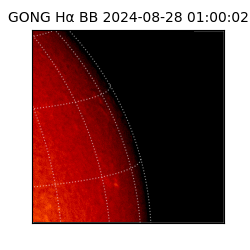 gong - 2024-08-28T01:00:02