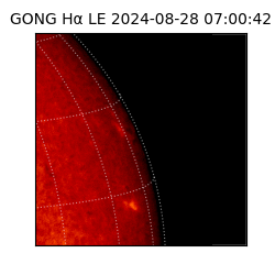 gong - 2024-08-28T07:00:42