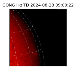 gong - 2024-08-28T09:00:22