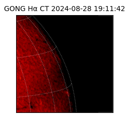 gong - 2024-08-28T19:11:42