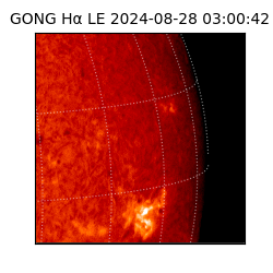 gong - 2024-08-28T03:00:42