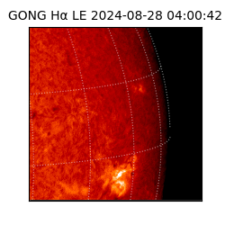 gong - 2024-08-28T04:00:42