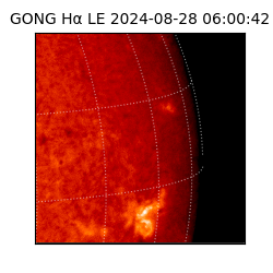 gong - 2024-08-28T06:00:42