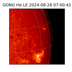 gong - 2024-08-28T07:00:42