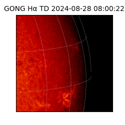 gong - 2024-08-28T08:00:22