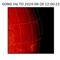 gong - 2024-08-28T12:00:22