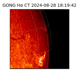 gong - 2024-08-28T18:19:42