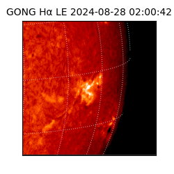gong - 2024-08-28T02:00:42