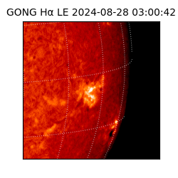 gong - 2024-08-28T03:00:42