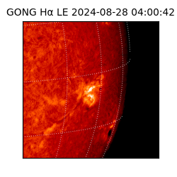 gong - 2024-08-28T04:00:42