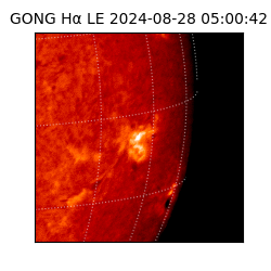 gong - 2024-08-28T05:00:42