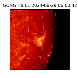 gong - 2024-08-28T06:00:42