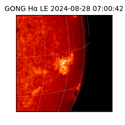 gong - 2024-08-28T07:00:42