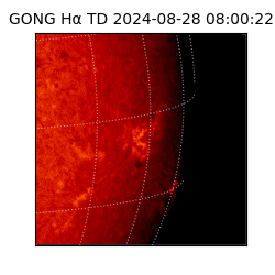 gong - 2024-08-28T08:00:22