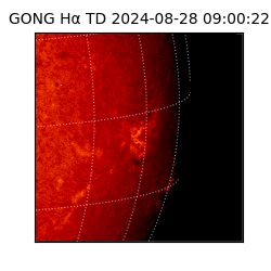 gong - 2024-08-28T09:00:22