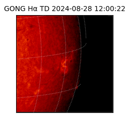 gong - 2024-08-28T12:00:22