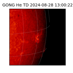 gong - 2024-08-28T13:00:22