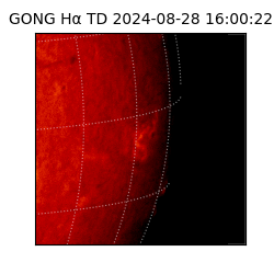 gong - 2024-08-28T16:00:22