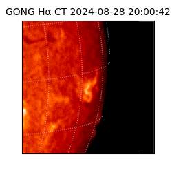 gong - 2024-08-28T20:00:42