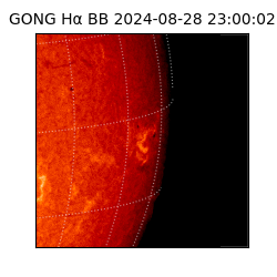 gong - 2024-08-28T23:00:02