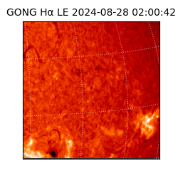 gong - 2024-08-28T02:00:42