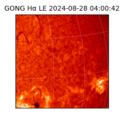 gong - 2024-08-28T04:00:42