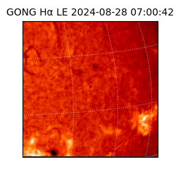 gong - 2024-08-28T07:00:42