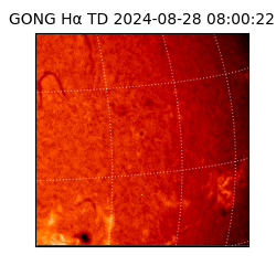 gong - 2024-08-28T08:00:22