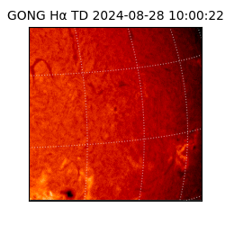 gong - 2024-08-28T10:00:22