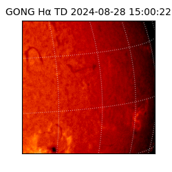 gong - 2024-08-28T15:00:22