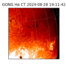 gong - 2024-08-28T19:11:42